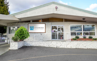 Avamere Rehabilitation of Shoreline